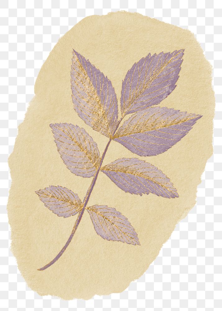 Aesthetic leaf branch png sticker, ripped paper, transparent background