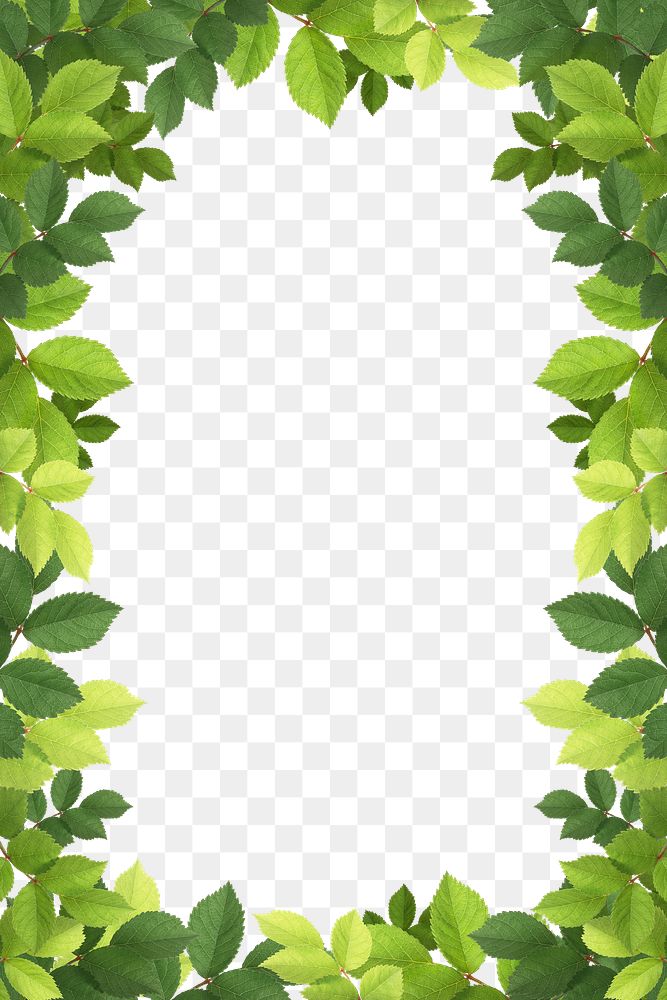 Green leaf png frame sticker, transparent background