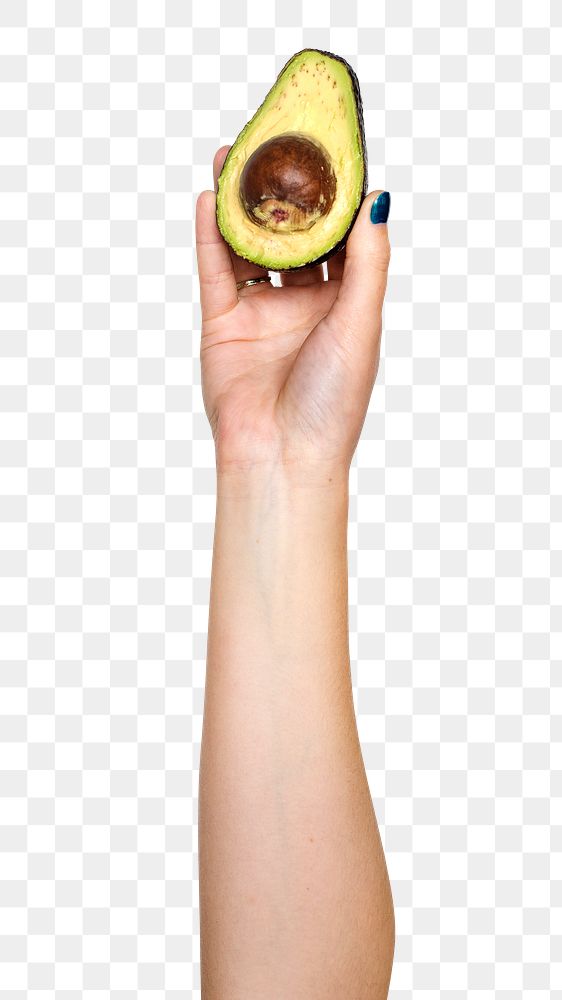 Avocado png in hand sticker on transparent background