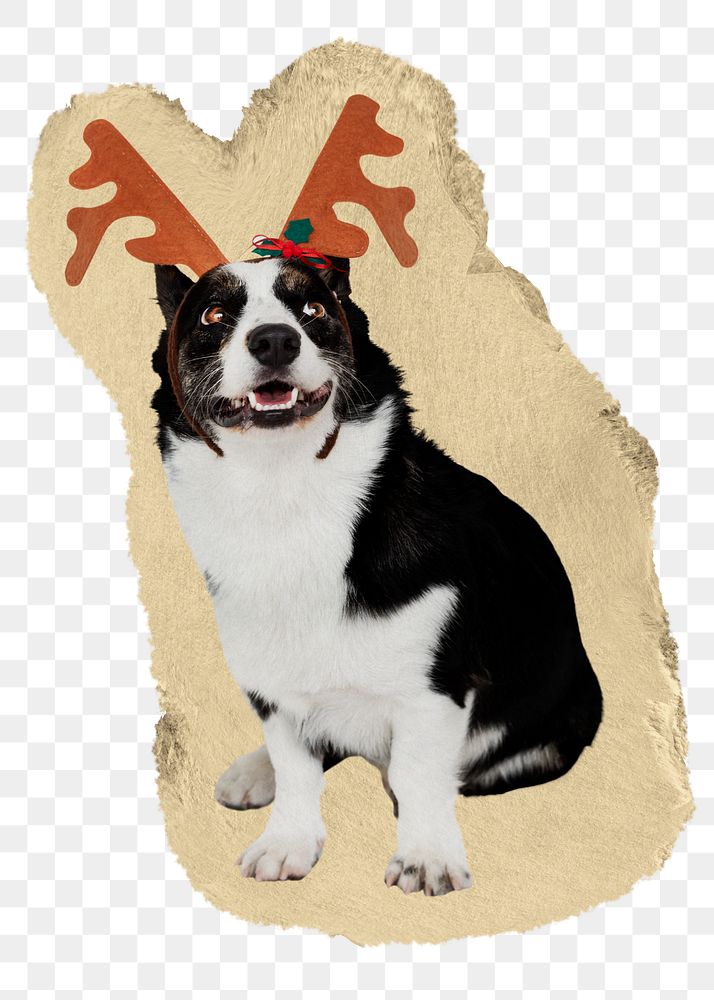 Dog png wearing reindeer antlers sticker, ripped paper, transparent background