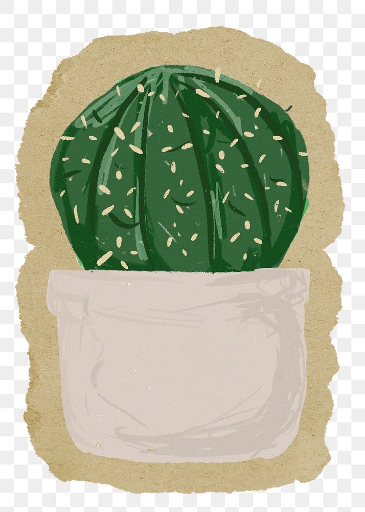 Cactus houseplant png sticker, ripped paper, transparent background