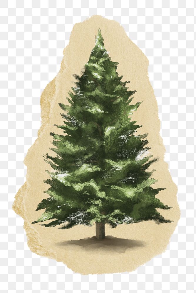 Christmas tree png sticker, ripped paper, transparent background