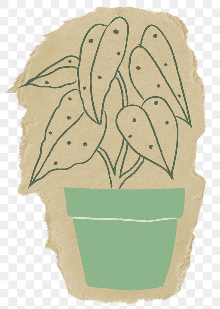 Aesthetic houseplant png sticker, ripped paper, transparent background