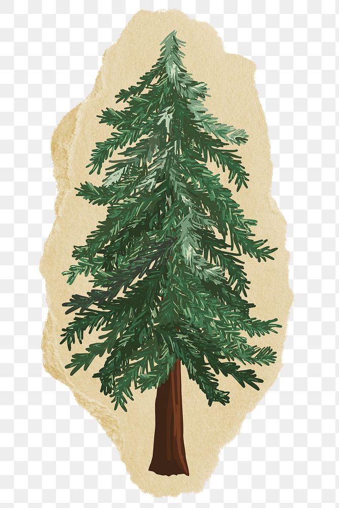 Christmas tree png sticker, ripped paper, transparent background