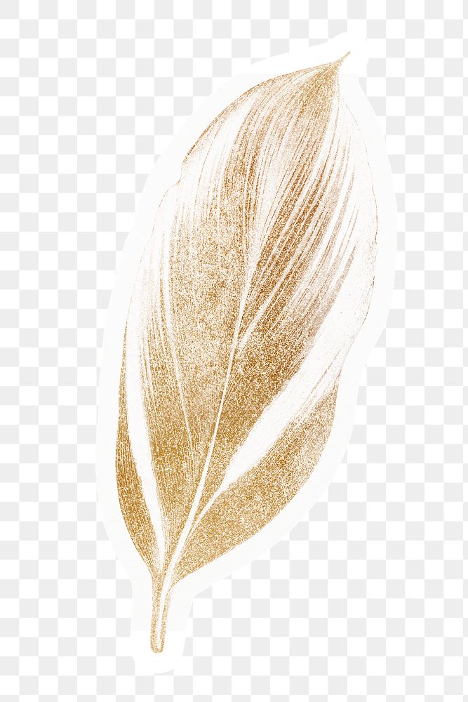 Golden leaf png sticker, aesthetic design, transparent background