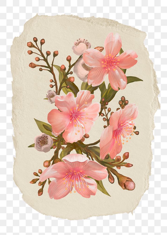 Pink flowers png sticker, ripped paper, transparent background