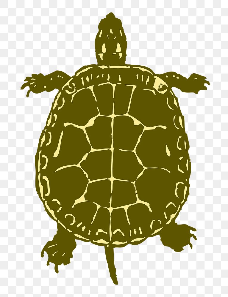 Turtle, animal png sticker, transparent background. Free public domain CC0 image.