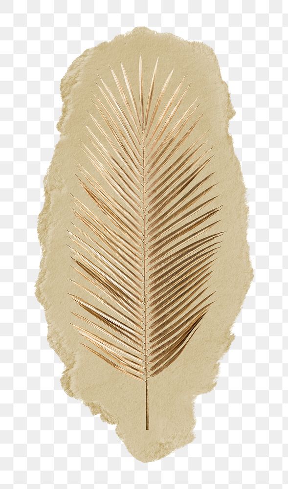 Gold palm leaf branch png sticker, ripped paper, transparent background