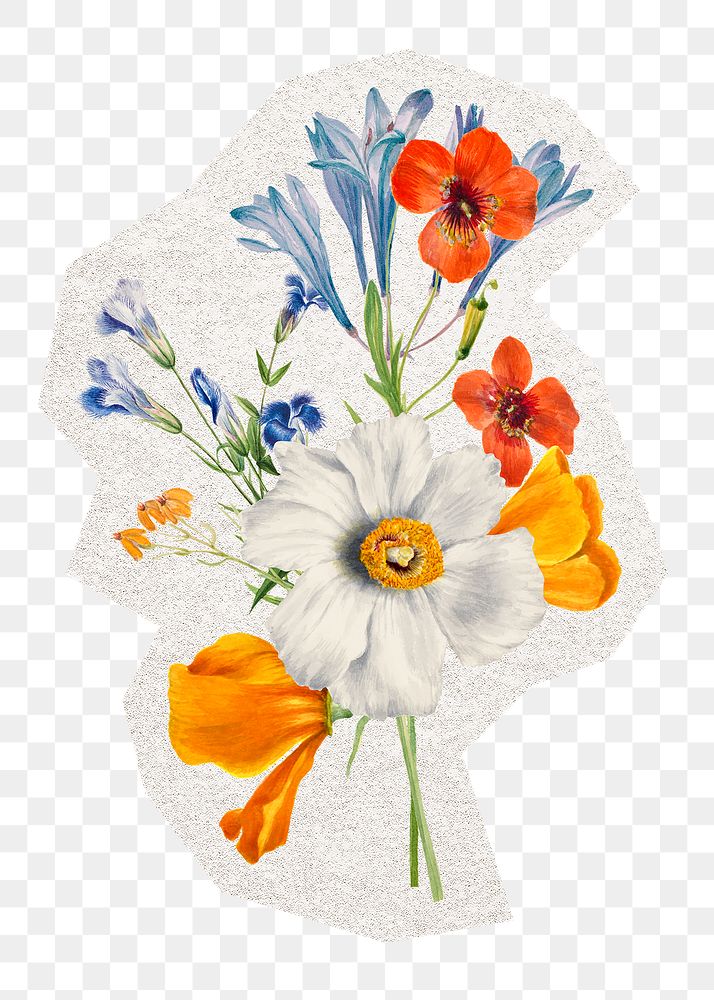 PNG flower sticker, vintage botanical illustration, transparent background