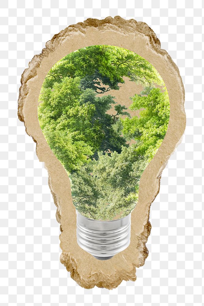 Tree light bulb png sticker, ripped paper, transparent background