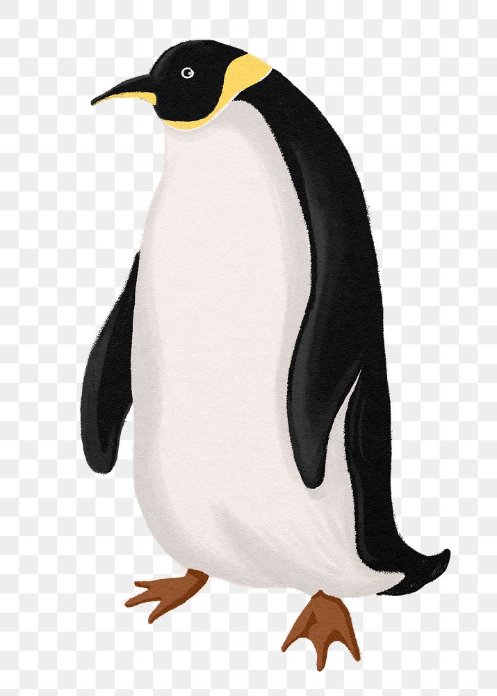 Penguin png sticker, watercolor animal illustration, transparent background