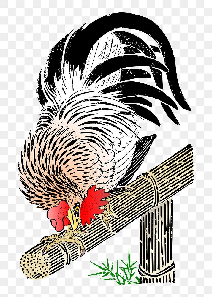 Rooster png illustration, transparent background. Free public domain CC0 image.