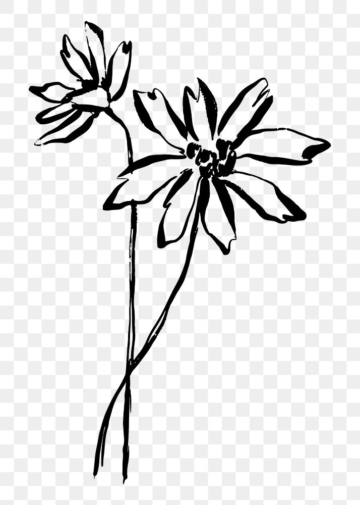 Png flower line art sticker, ink brush design on transparent background