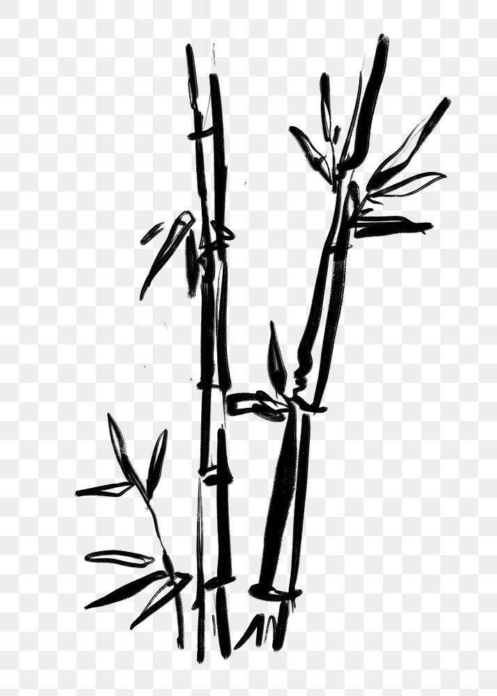 Bamboo  png sticker, ink brush botanical transparent background