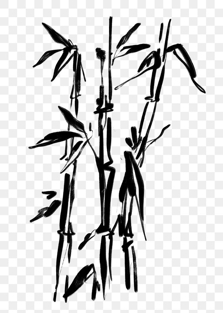 Bamboo  png sticker, ink brush botanical transparent background