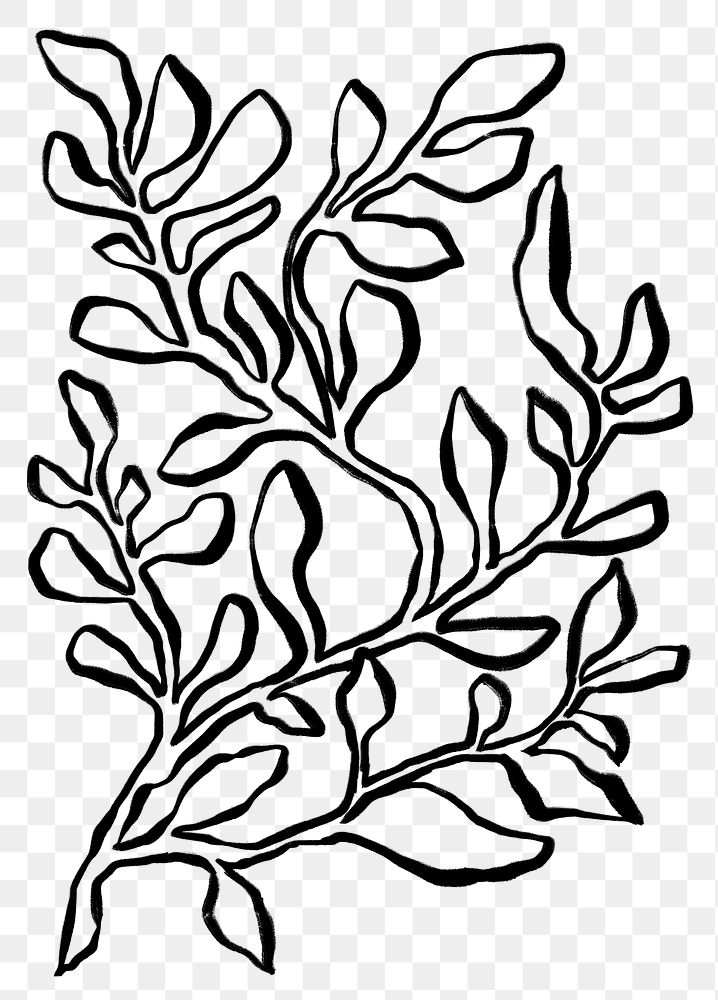 Botanical leaf png sticker, ink brush botanical transparent background