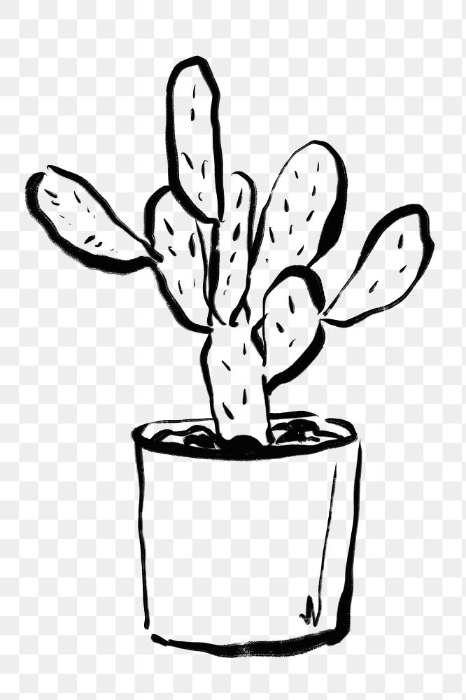 Cactus png sticker, ink brush botanical transparent background