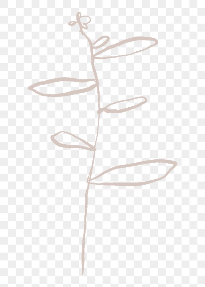 Abstract leaf png sticker, botanical line art transparent background 