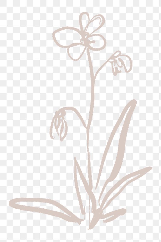 Flower png sticker, line art design on transparent background