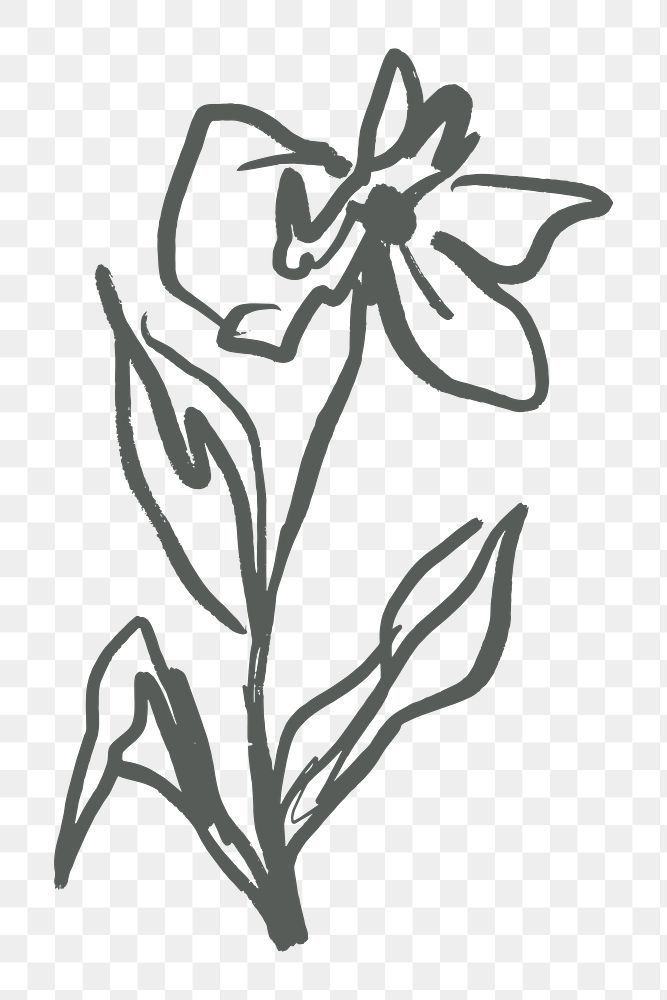 Flower png sticker, line art design on transparent background