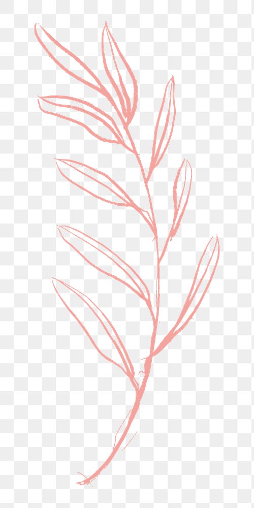 Pink leaf png sticker, transparent background