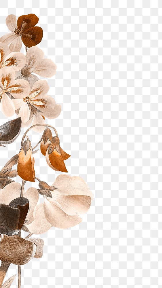 Brown flower png border, transparent background, remix from the artworks of Pierre Joseph Redout&eacute;