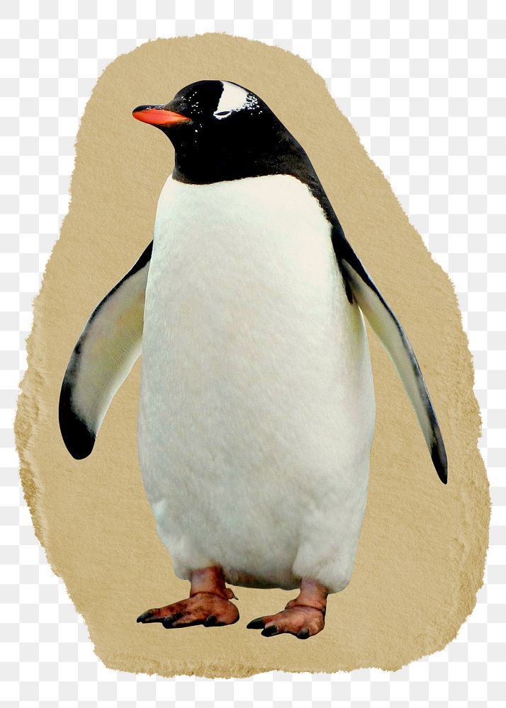 Penguin standing png sticker, ripped paper on transparent background 
