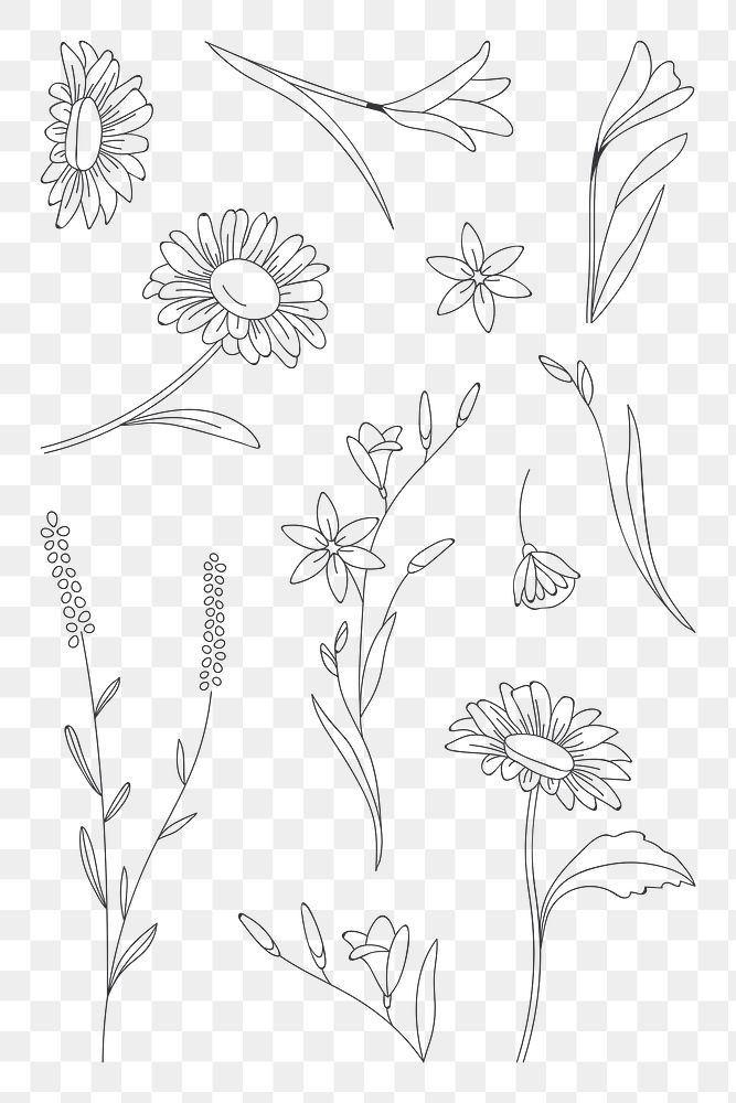 Png black floral pattern, transparent background