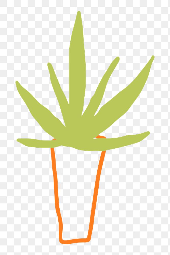 Plant png sticker, cute doodle, transparent background
