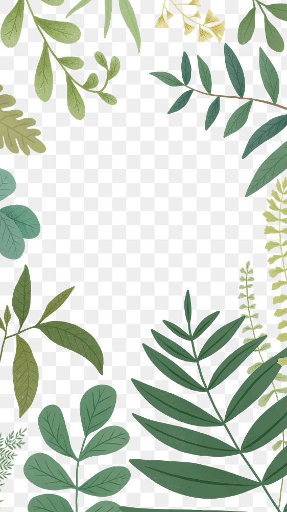 Png botanical frame, tropical design, transparent background