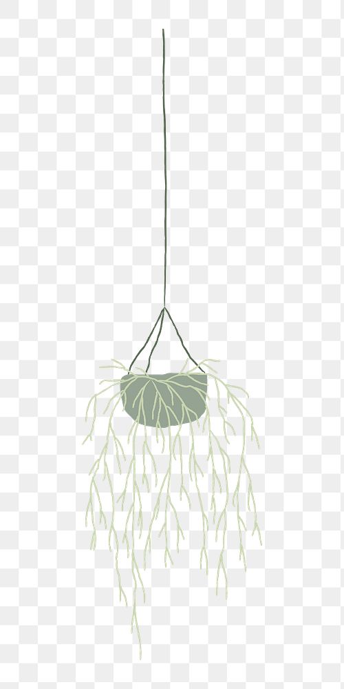 Rhipsalis png doodle houseplant sticker, transparent background