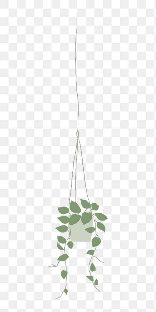 Pothos png doodle houseplant sticker, transparent background