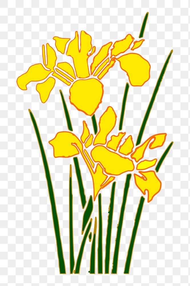 Flower png illustration, transparent background. Free public domain CC0 image.