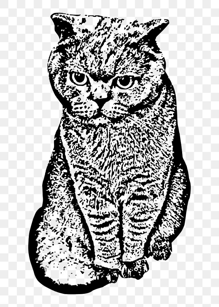 Cat png illustration, transparent background. Free public domain CC0 image.