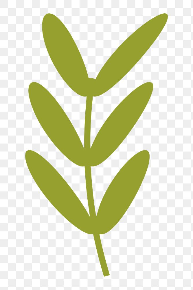 Leaves png illustration, transparent background. Free public domain CC0 image.