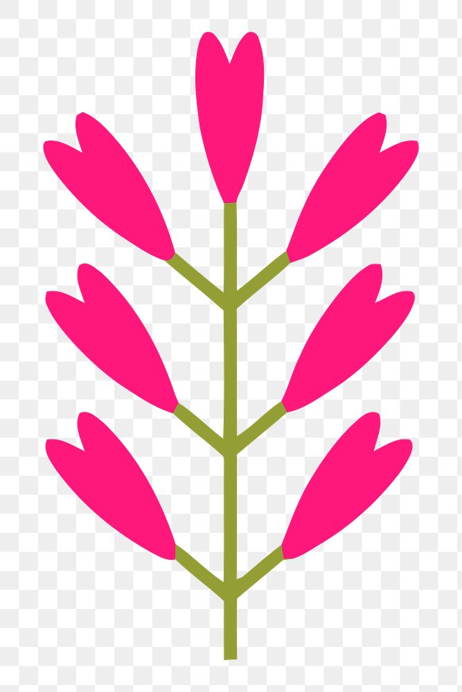 Flower png illustration, transparent background. Free public domain CC0 image.