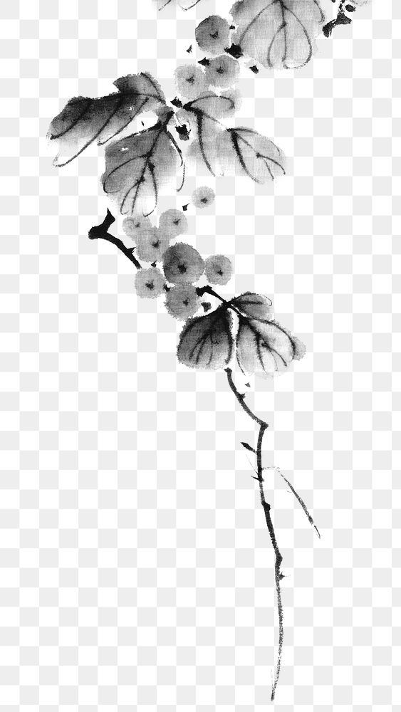 Hokusai&rsquo;s berry branch png on transparent background. Original from the Library of Congress.   Remastered by rawpixel. 