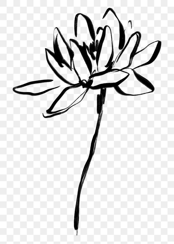 Lotus png ink brush sticker, flower on transparent background
