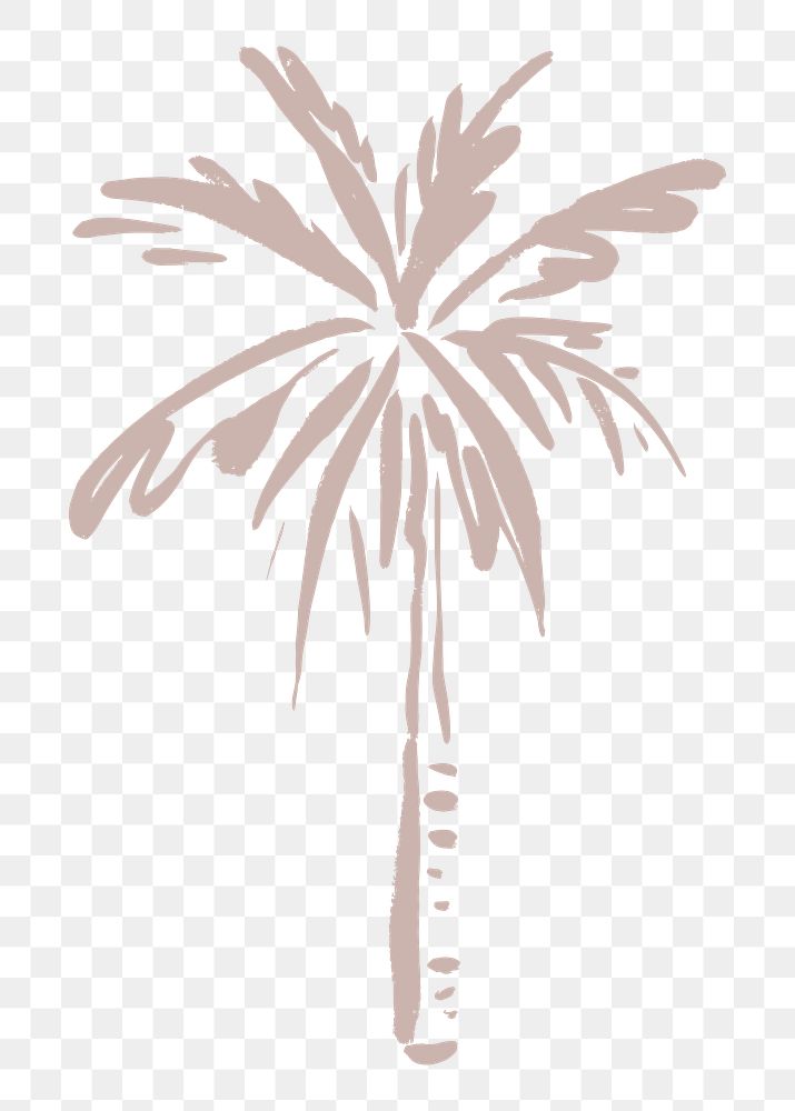 Palm tree png sticker, botanical line art transparent background 