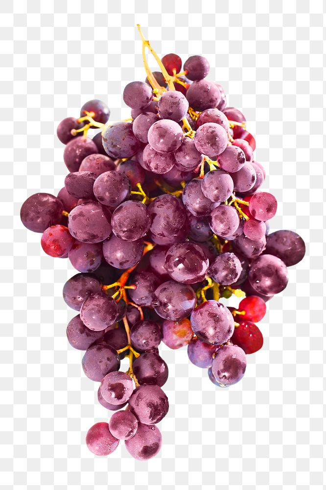 Red grapes png sticker, transparent background
