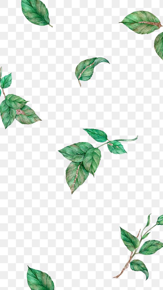 Green leaf png pattern overlay, transparent background