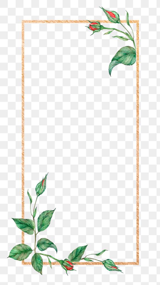 Leaf frame png sticker, transparent background