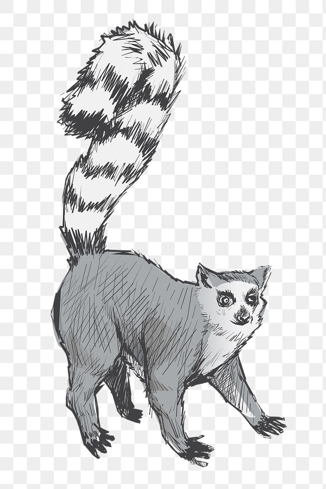 Png gray Lemur  animal illustration, transparent background