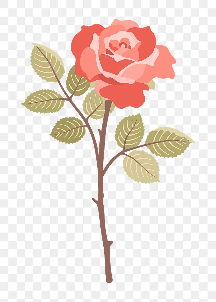 Rose flower png illustration, transparent background. Free public domain CC0 image.