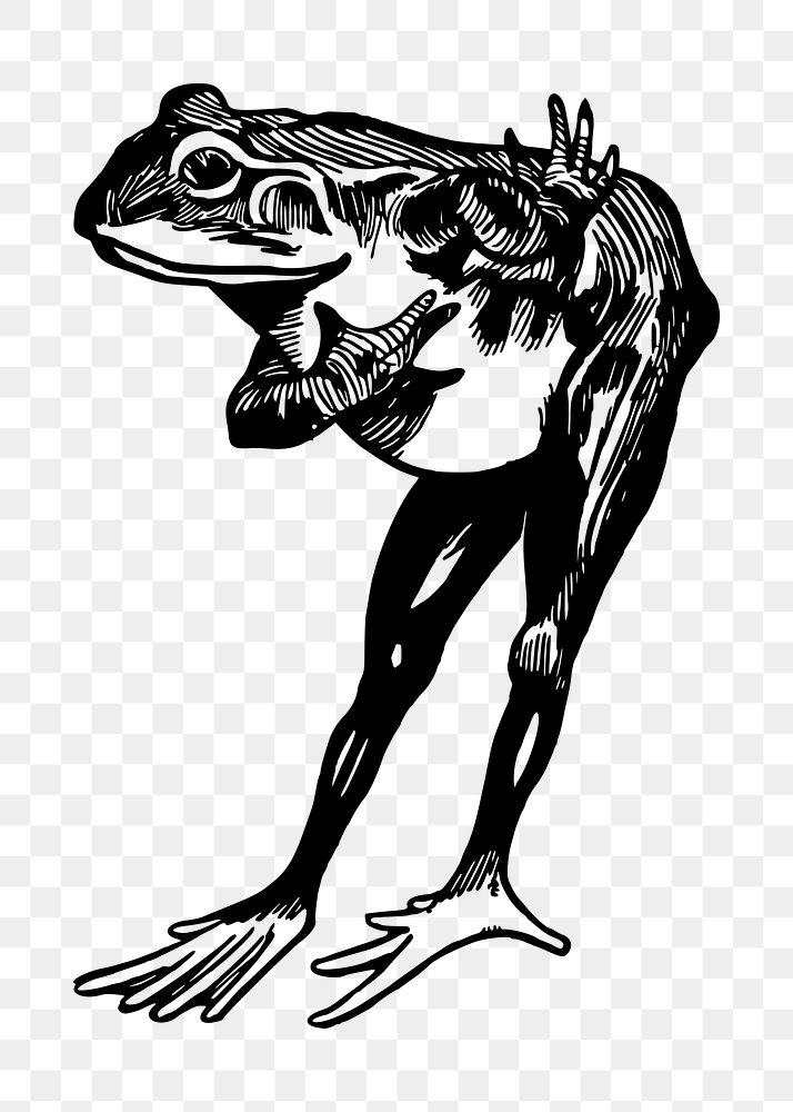 Mr. Frog png illustration, transparent background. Free public domain CC0 image.