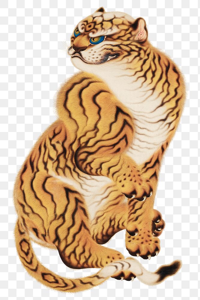 Yuhi's Tiger png, transparent background.    Remastered by rawpixel. 