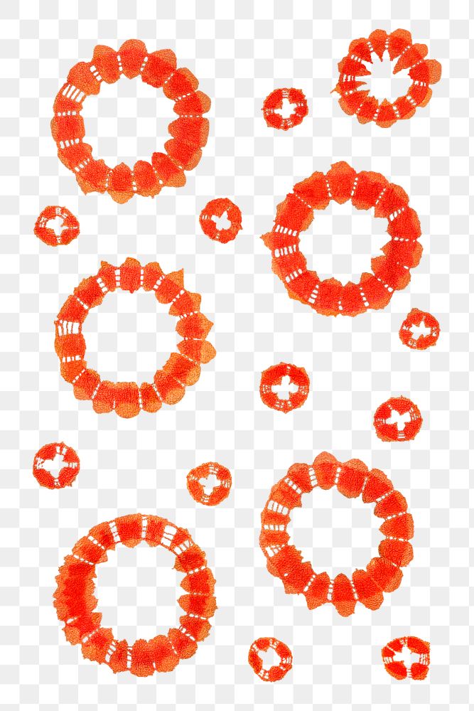 Orange circle pattern png sticker, transparent background.   Remastered by rawpixel. 