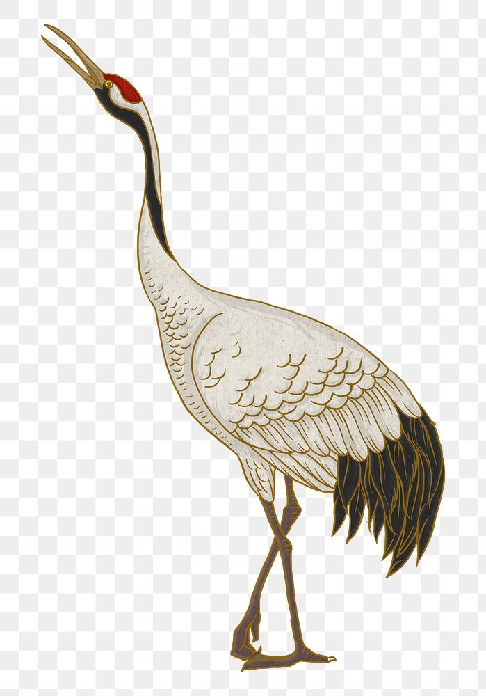 Watanabe's crane bird png, oriental animal illustration, transparent background