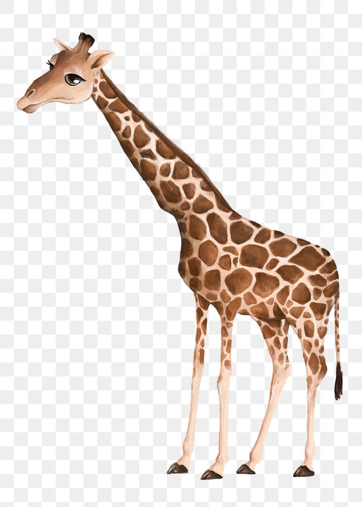 Giraffe png sticker, cute animal illustration, transparent background