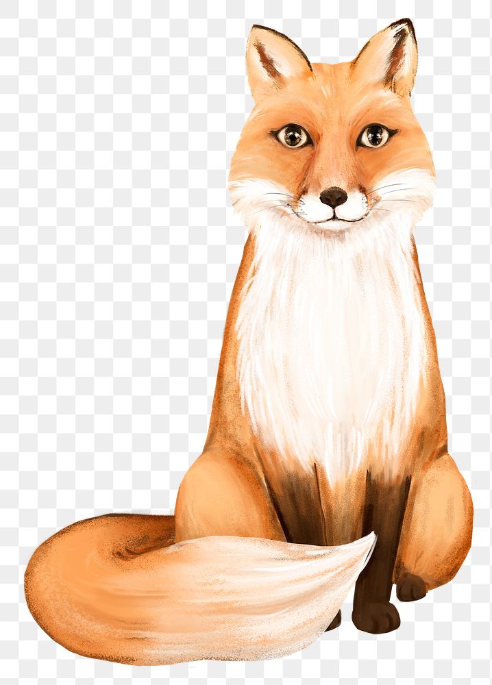 Fox png sticker, cute animal illustration, transparent background